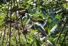 Sawpit Creekorganic-gardening-3.jpg; ?>