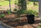 Sawpit Creekorganic-gardening-6.jpg; ?>