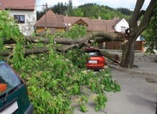 Kwikfynd Tree Cutting Services
sawpitcreek